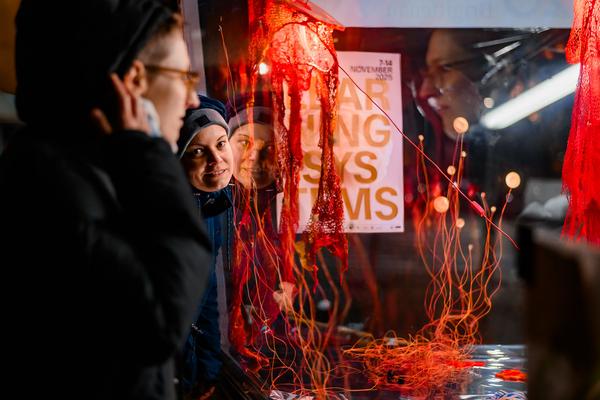 Juliana Herrero &quot;Tautropfen / Gotas de Rocío&quot; (Glaspavillon Bezirksmuseum Brigittenau, 12.11.2025) Foto: eSeL.at - Joanna Pianka