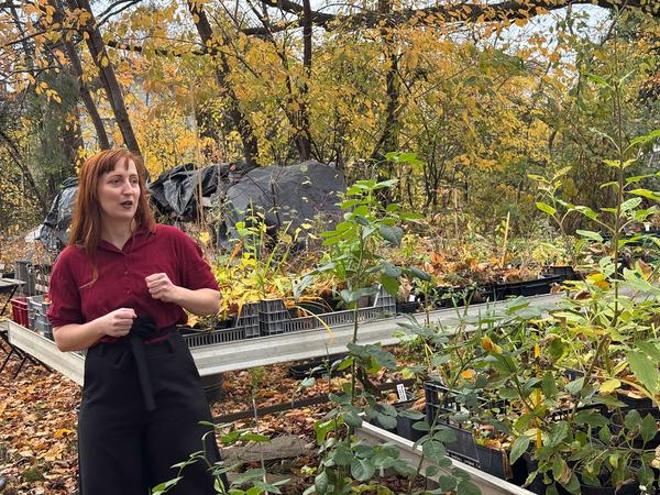 eSeL TDOA Tour Neulengbach / Mostviertel (Neulengbach, 9.11.2025) Foto: eSeL.at - Lorenz Seidler