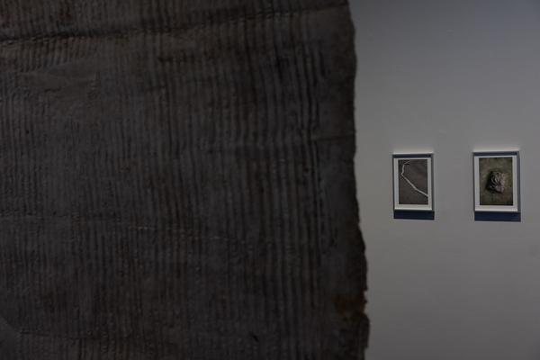 THE MATERIAL SHOW (MQ Freiraum, 26.02. – 31.05.2026) Foto: eSeL.at - Lorenz Seidler