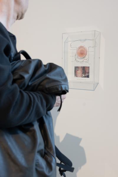 Thomas Feuerstein &quot;Arbeit am Fleisch&quot; (WAM Wiener Aktionismus Museum, 14.2. - 27.7.2025) Foto: eSeL.at - Lorenz Seidler
