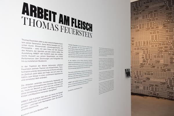 Thomas Feuerstein &quot;Arbeit am Fleisch&quot; (WAM Wiener Aktionismus Museum, 14.2. - 27.7.2025) Foto: eSeL.at - Lorenz Seidler