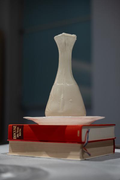 Thomas Feuerstein "Arbeit am Fleisch" (WAM Wiener Aktionismus Museum, 14.2. - 27.7.2025) Foto: eSeL.at - Lorenz Seidler
