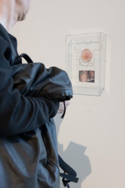 Thomas Feuerstein "Arbeit am Fleisch" (WAM Wiener Aktionismus Museum, 14.2. - 27.7.2025) Foto: eSeL.at - Lorenz Seidler