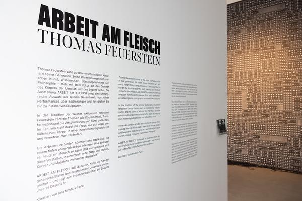 Thomas Feuerstein "Arbeit am Fleisch" (WAM Wiener Aktionismus Museum, 14.2. - 27.7.2025) Foto: eSeL.at - Lorenz Seidler