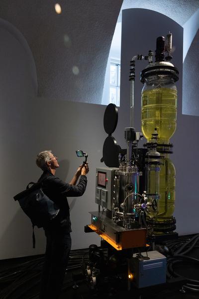 Thomas Feuerstein &quot;METABOLICA&quot; (MQ Freiraum &amp; MQ Salon, 18.9.2025 - 1.2.2026) Foto: eSeL.at - Lorenz Seidler