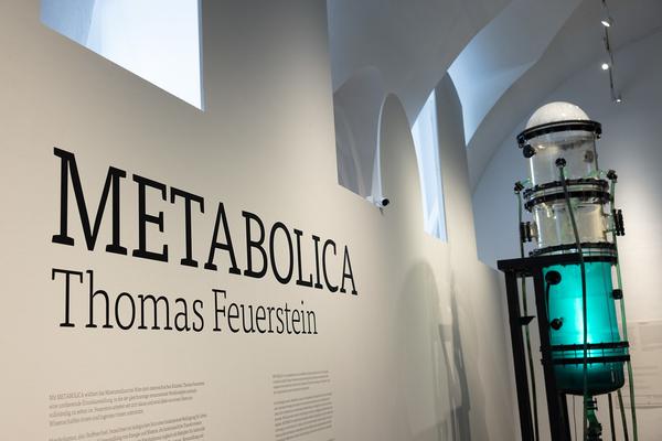 Thomas Feuerstein "METABOLICA" (MQ Freiraum &amp; MQ Salon, 18.9.2025 - 1.2.2026) Foto: eSeL.at - Lorenz Seidler