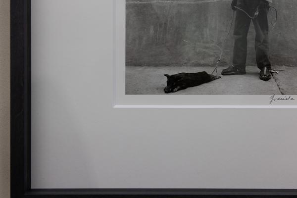 tierisch menschlich (Dom Museum Wien, 2.10.2026 – 22.8.2027) Foto: eSeL.at - Lorenz Seidler
