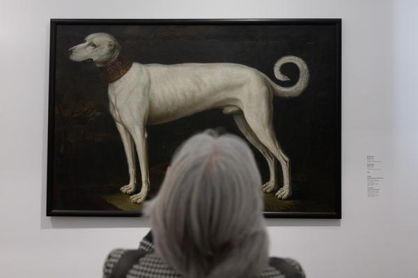 tierisch menschlich (Dom Museum Wien, 2.10.2026 – 22.8.2027) Foto: eSeL.at - Lorenz Seidler