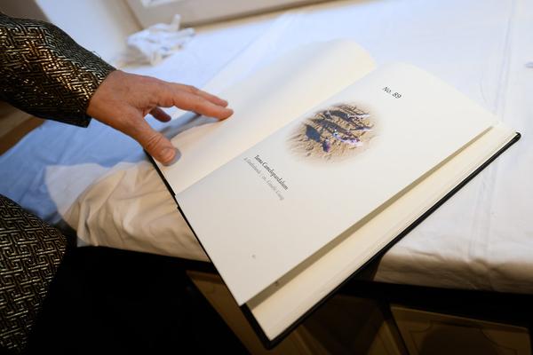 VIENNA ART WEEK 2025: Gerald Straub &amp; Matthias Meinharter @ Open Studio Days (8.11. &amp; 9.11.2025) Foto: eSeL.at - Joanna Pianka