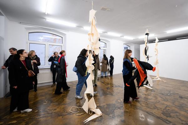 VIENNA ART WEEK 2025: Sehsaal @ Open Studio Days (8.11. &amp; 9.11.2025) Foto: eSeL.at - Joanna Pianka