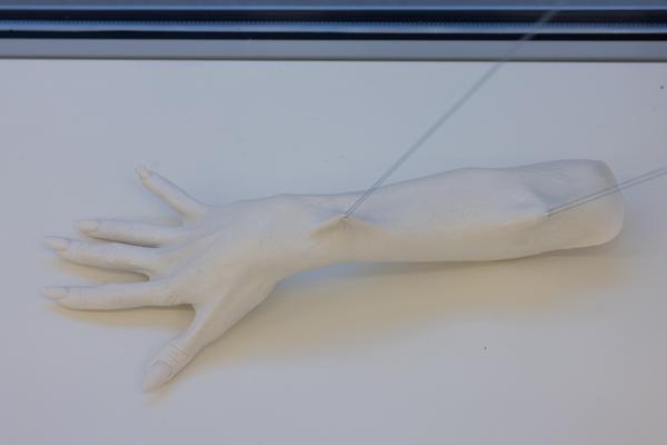 &quot;VERSÖHNUNG&quot; NITSCH. A homage by Kata Oeschlägel (Nitsch Foundation, 6.11.2025 - 31.1.2026) Foto: eSeL.at - Lorenz Seidler