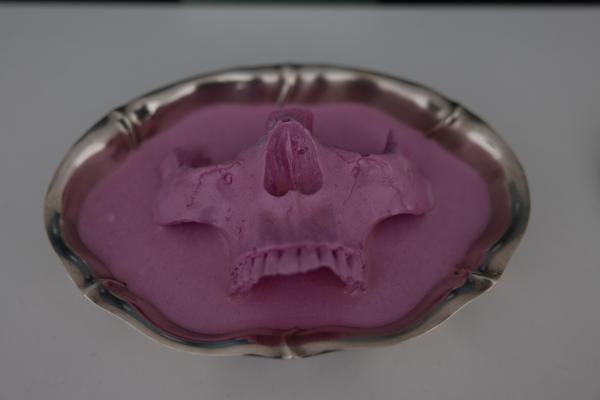 &quot;VERSÖHNUNG&quot; NITSCH. A homage by Kata Oeschlägel (Nitsch Foundation, 6.11.2025 - 31.1.2026) Foto: eSeL.at - Lorenz Seidler