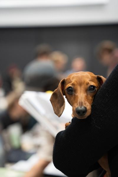Vienna Art Book Fair #3 (Die Angewandte/VZA - 17--19.10.2025) Foto: eSeL.at - Sarah Tasha