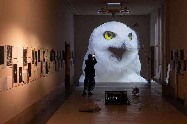 VIENNA ART WEEK 20025 Pressekonferenz (&quot;House of Learning Systems&quot; / Funkhaus, 6.11.2025) Foto: eSeL.at - Lorenz Seidler