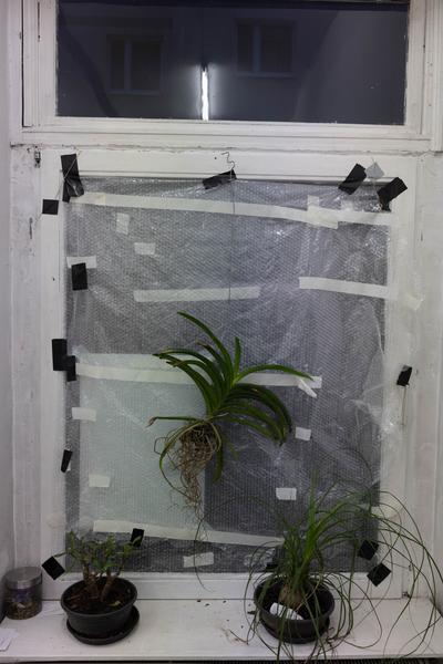 Vienna Art Week: Independent Art Spaces Tour: Wechselstrom (14.11.2025) Foto: eSeL.at - Lorenz Seidler