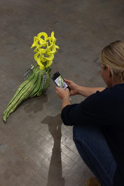 VIENNA ART WEEK für ALLE: Überblicksführung Gebärdensprache Guan Xiao &quot;Teenager&quot; (Kunsthalle Wien, 11.11.2025) Foto: eSeL.at - Lorenz Seidler