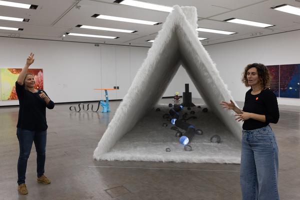 VIENNA ART WEEK für ALLE: Überblicksführung Gebärdensprache Guan Xiao "Teenager" (Kunsthalle Wien, 11.11.2025) Foto: eSeL.at - Lorenz Seidler