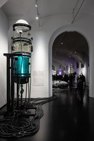 VIENNA ART WEEK Dialogführung Thomas Feuerstein &quot;METABOLICA&quot; (MQ Freiraum &amp; MQ Salon, 12.11.2025) Foto: eSeL.at - Lorenz Seidler