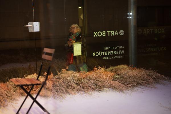 VIENNA ART WEEK Eröffnung Anita Fuchs &quot;Wiesenstück&quot; (MQ Art Box, 12.11.2025) Foto: eSeL.at - Lorenz Seidler