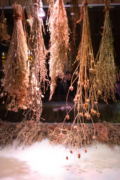 VIENNA ART WEEK Eröffnung Anita Fuchs &quot;Wiesenstück&quot; (MQ Art Box, 12.11.2025) Foto: eSeL.at - Lorenz Seidler