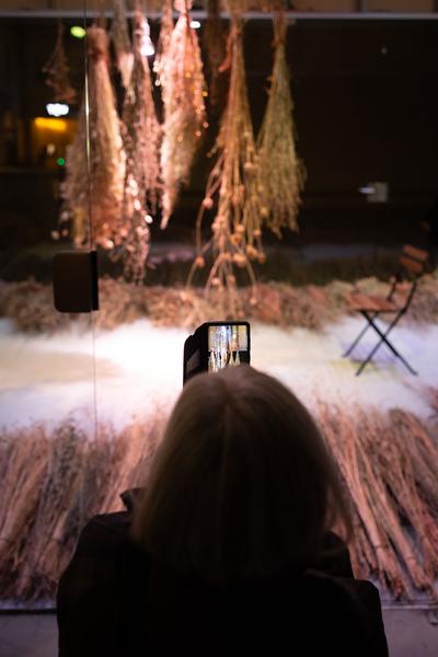 VIENNA ART WEEK Eröffnung Anita Fuchs &quot;Wiesenstück&quot; (MQ Art Box, 12.11.2025) Foto: eSeL.at - Lorenz Seidler