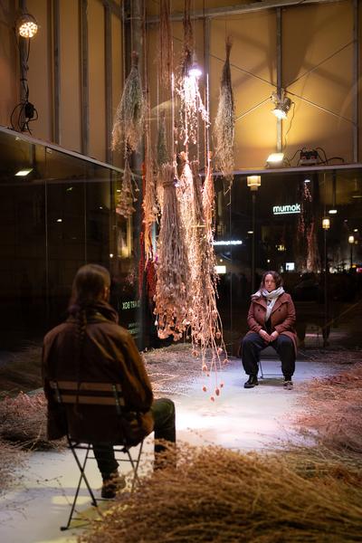 VIENNA ART WEEK Eröffnung Anita Fuchs &quot;Wiesenstück&quot; (MQ Art Box, 12.11.2025) Foto: eSeL.at - Lorenz Seidler