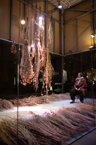 VIENNA ART WEEK Eröffnung Anita Fuchs &quot;Wiesenstück&quot; (MQ Art Box, 12.11.2025) Foto: eSeL.at - Lorenz Seidler
