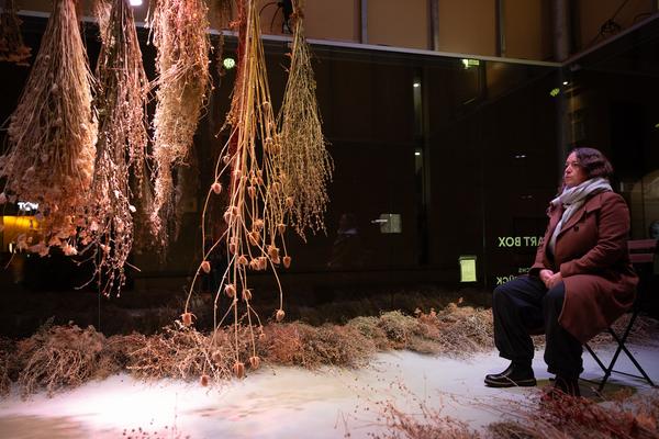 VIENNA ART WEEK Eröffnung Anita Fuchs &quot;Wiesenstück&quot; (MQ Art Box, 12.11.2025) Foto: eSeL.at - Lorenz Seidler