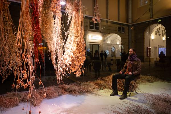 VIENNA ART WEEK Eröffnung Anita Fuchs &quot;Wiesenstück&quot; (MQ Art Box, 12.11.2025) Foto: eSeL.at - Lorenz Seidler