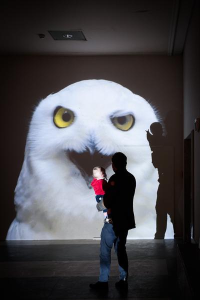 VIENNA ART WEEK 2025 Eröffnung (&quot;House of Learning Systems&quot; / Funkhaus, 07.11.2025) Foto: eSeL.at - Joanna Pianka