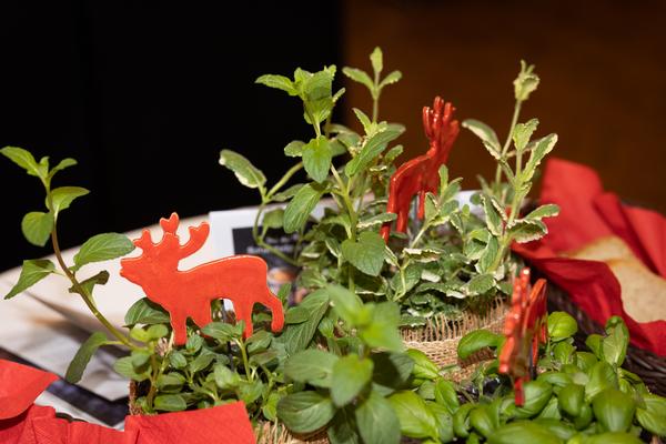 WEIN/4tel-Festival. Eröffnung Viertelfestival 2026 (Stadtsaal Korneuburg, 6.5.2026) Foto: eSeL.at - Lorenz Seidler