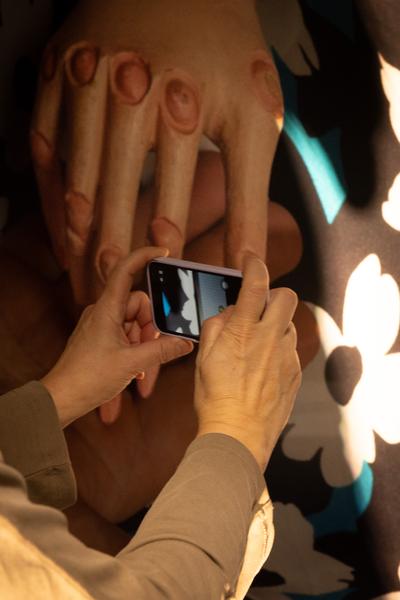 Präsentation: "Wallpaper #8" Tolia Astakhishvili und Klaus Scherübel //  "Stromkilometer 1943,9" - Sofie Thorsen // "Liaison" - Liesl Raff (evn Sammlung , 10.2.2026) Foto: eSeL.at - Lorenz Seidler