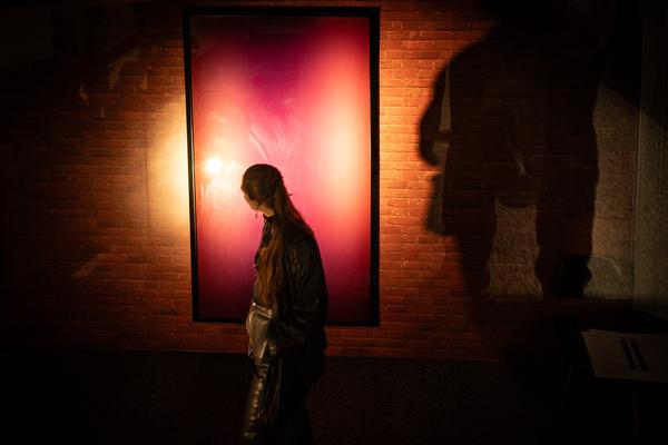 Präsentation: "Wallpaper #8" Tolia Astakhishvili und Klaus Scherübel //  "Stromkilometer 1943,9" - Sofie Thorsen // "Liaison" - Liesl Raff (evn Sammlung , 10.2.2026) Foto: eSeL.at - Lorenz Seidler