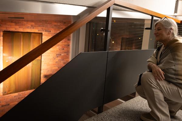 Präsentation: "Wallpaper #8" Tolia Astakhishvili und Klaus Scherübel //  "Stromkilometer 1943,9" - Sofie Thorsen // "Liaison" - Liesl Raff (evn Sammlung , 10.2.2026) Foto: eSeL.at - Lorenz Seidler