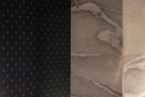 Präsentation: "Wallpaper #8" Tolia Astakhishvili und Klaus Scherübel //  "Stromkilometer 1943,9" - Sofie Thorsen // "Liaison" - Liesl Raff (evn Sammlung , 10.2.2026) Foto: eSeL.at - Lorenz Seidler