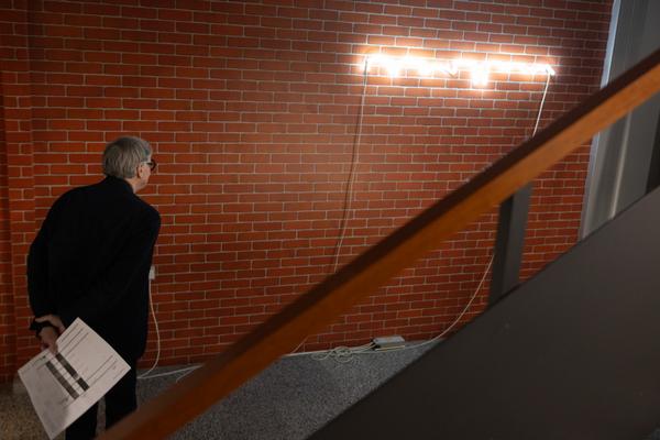 Präsentation: "Wallpaper #8" Tolia Astakhishvili und Klaus Scherübel //  "Stromkilometer 1943,9" - Sofie Thorsen // "Liaison" - Liesl Raff (evn Sammlung , 10.2.2026) Foto: eSeL.at - Lorenz Seidler