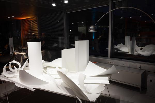 Präsentation: "Wallpaper #8" Tolia Astakhishvili und Klaus Scherübel //  "Stromkilometer 1943,9" - Sofie Thorsen // "Liaison" - Liesl Raff (evn Sammlung , 10.2.2026) Foto: eSeL.at - Lorenz Seidler