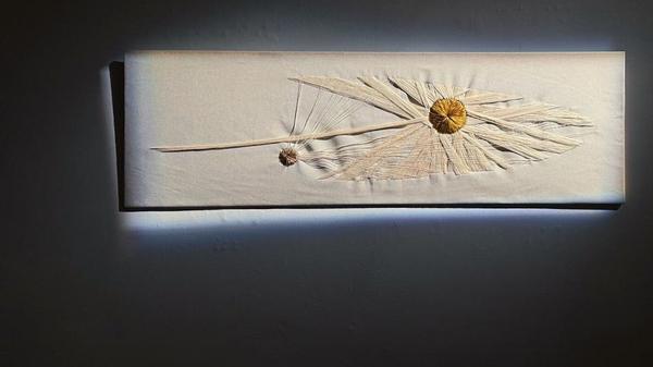 Eröffnung &quot;Was zwischen uns wächst&quot; (SOHO Studios, 4.12.2025) Foto: eSeL.at - Tayla Myree